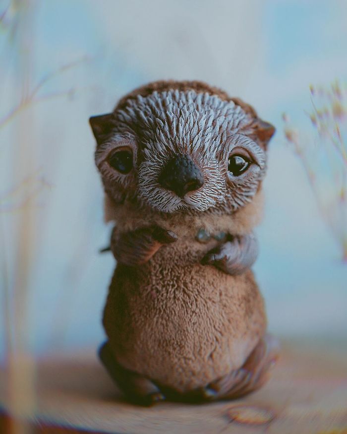 I Create Cute&creepy Dolls And Teach How To Make Them!