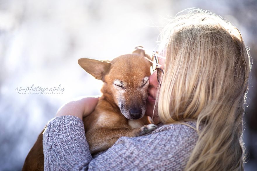 I Love To Capture The Joyful Soul Of Dogs Through My Photography