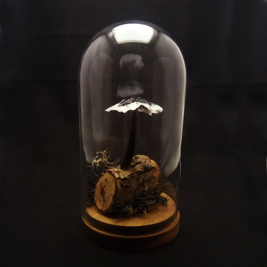 I Make Art Lamps Inspired By Nature I Make Art Lamps Inspired By Nature
