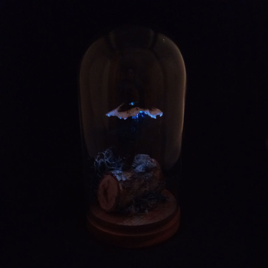 I Make Art Lamps Inspired By Nature I Make Art Lamps Inspired By Nature