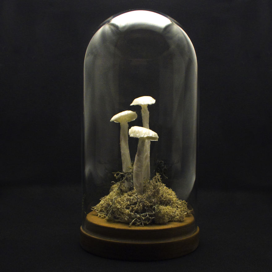 I Make Art Lamps Inspired By Nature I Make Art Lamps Inspired By Nature