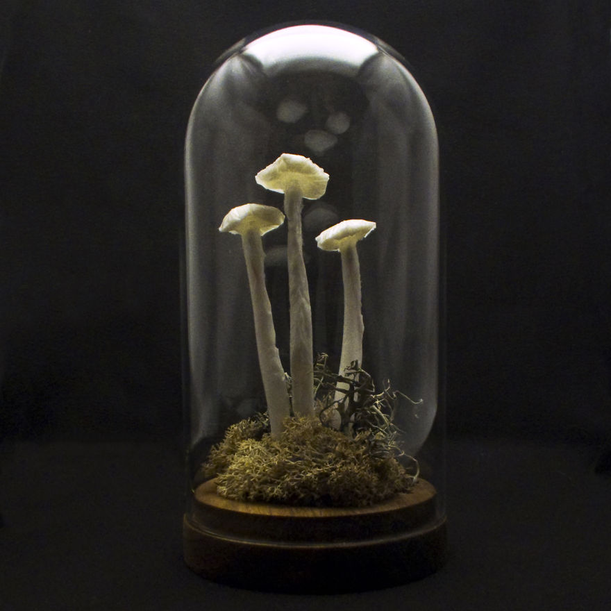 I Make Art Lamps Inspired By Nature I Make Art Lamps Inspired By Nature