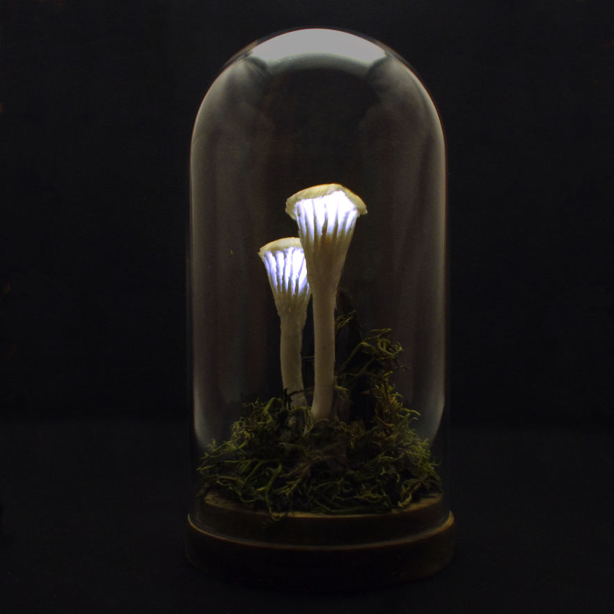 I Make Art Lamps Inspired By Nature I Make Art Lamps Inspired By Nature
