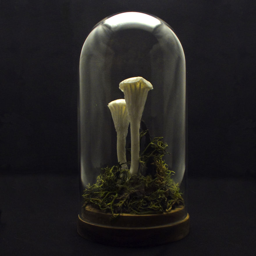 I Make Art Lamps Inspired By Nature I Make Art Lamps Inspired By Nature