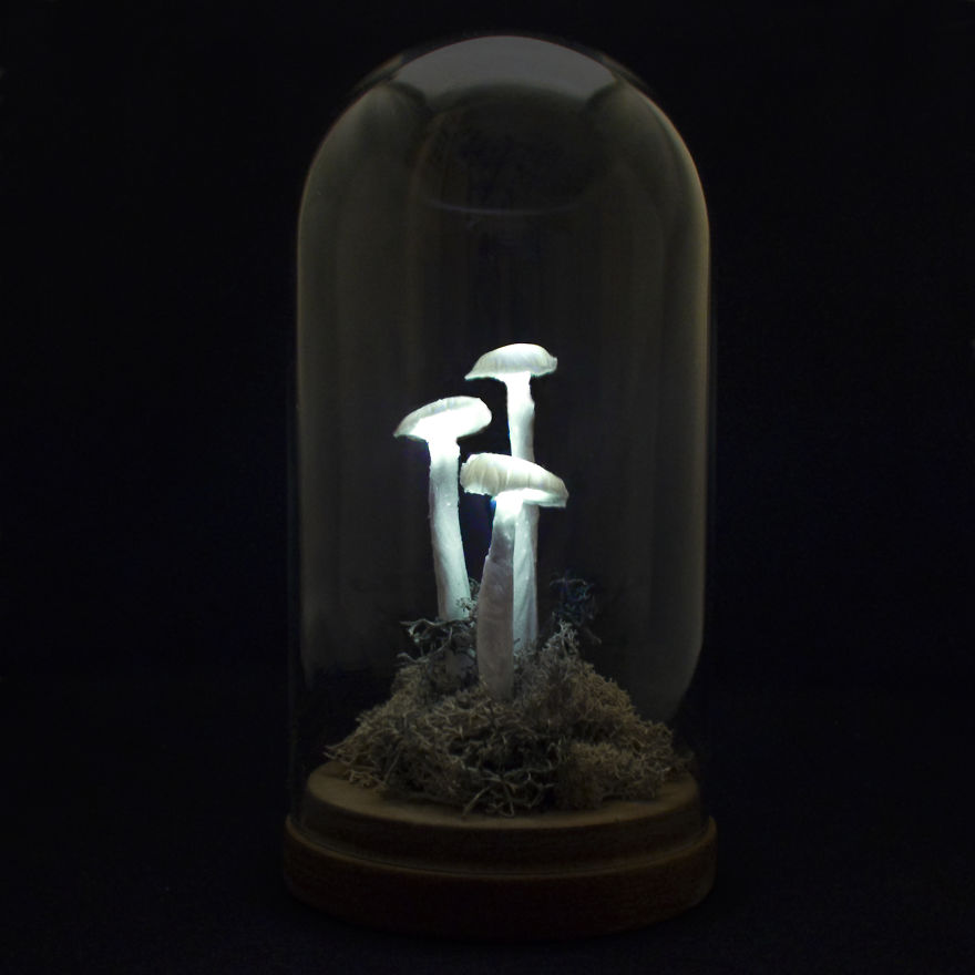 I Make Art Lamps Inspired By Nature I Make Art Lamps Inspired By Nature