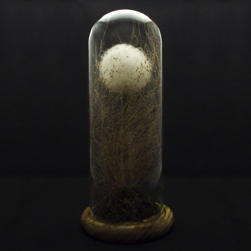 I Make Art Lamps Inspired By Nature I Make Art Lamps Inspired By Nature