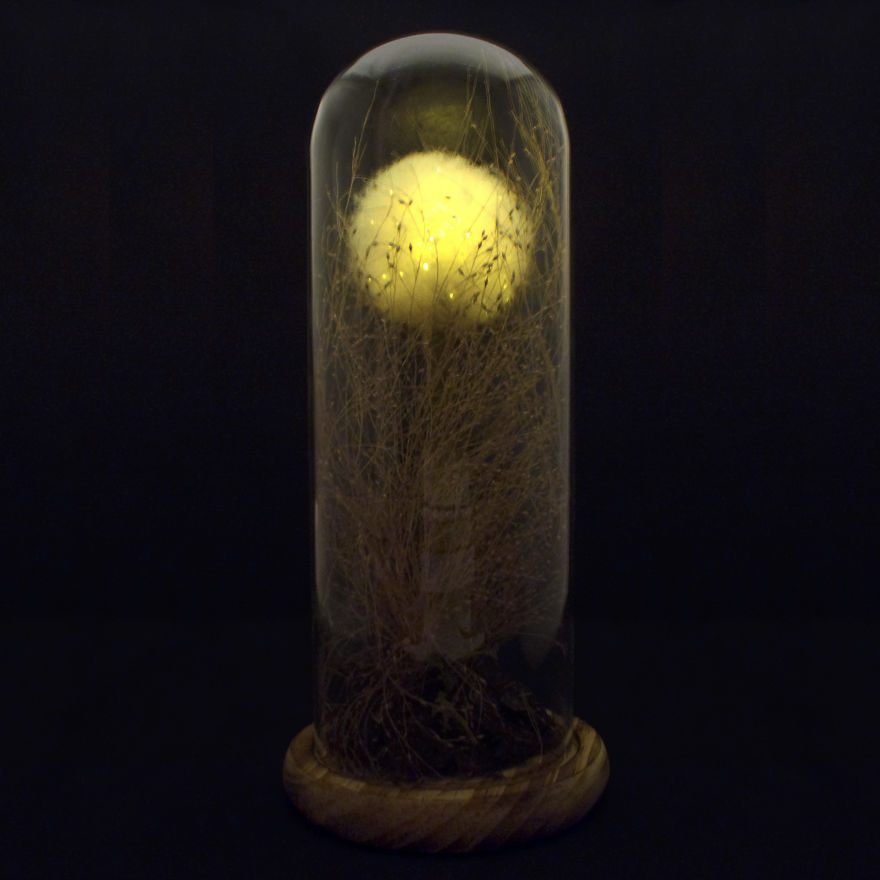 I Make Art Lamps Inspired By Nature I Make Art Lamps Inspired By Nature