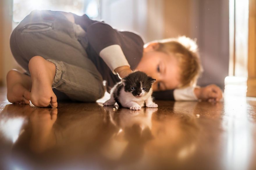 I Photographed The Beautiful Bond Between My Son And Our Cats