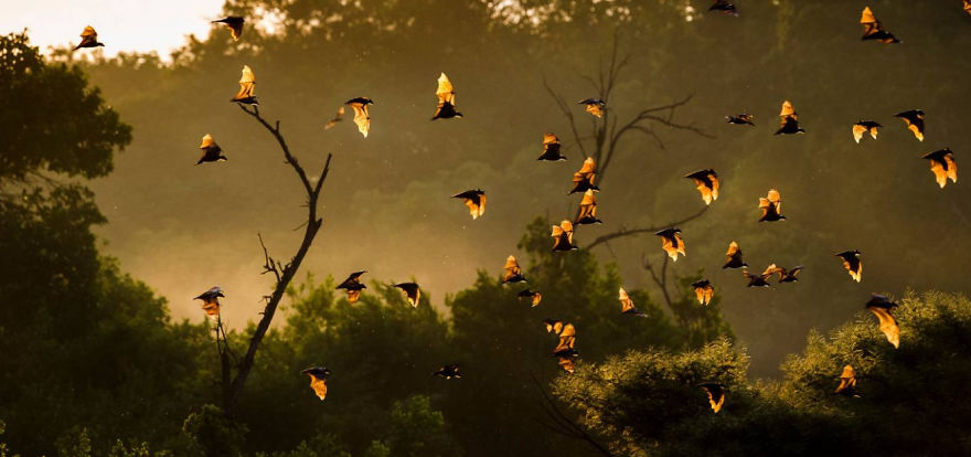 I Take Beautiful Photo's And Post Them.