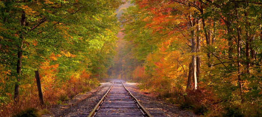 I Take Beautiful Photo's And Post Them.