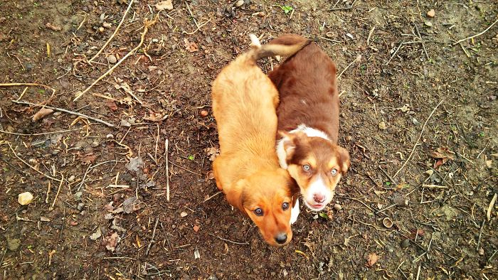 I Found & Rescued These Little Gems On This Day A Year Ago, And That’s Been A Life Changer For The Three Of Us