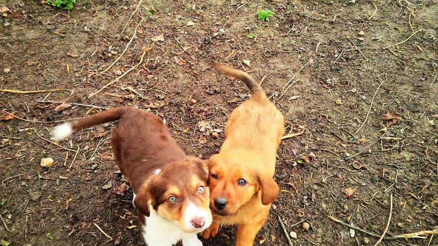 I Found & Rescued These Little Gems On This Day A Year Ago, And That's Been A Life Changer For The Three Of Us