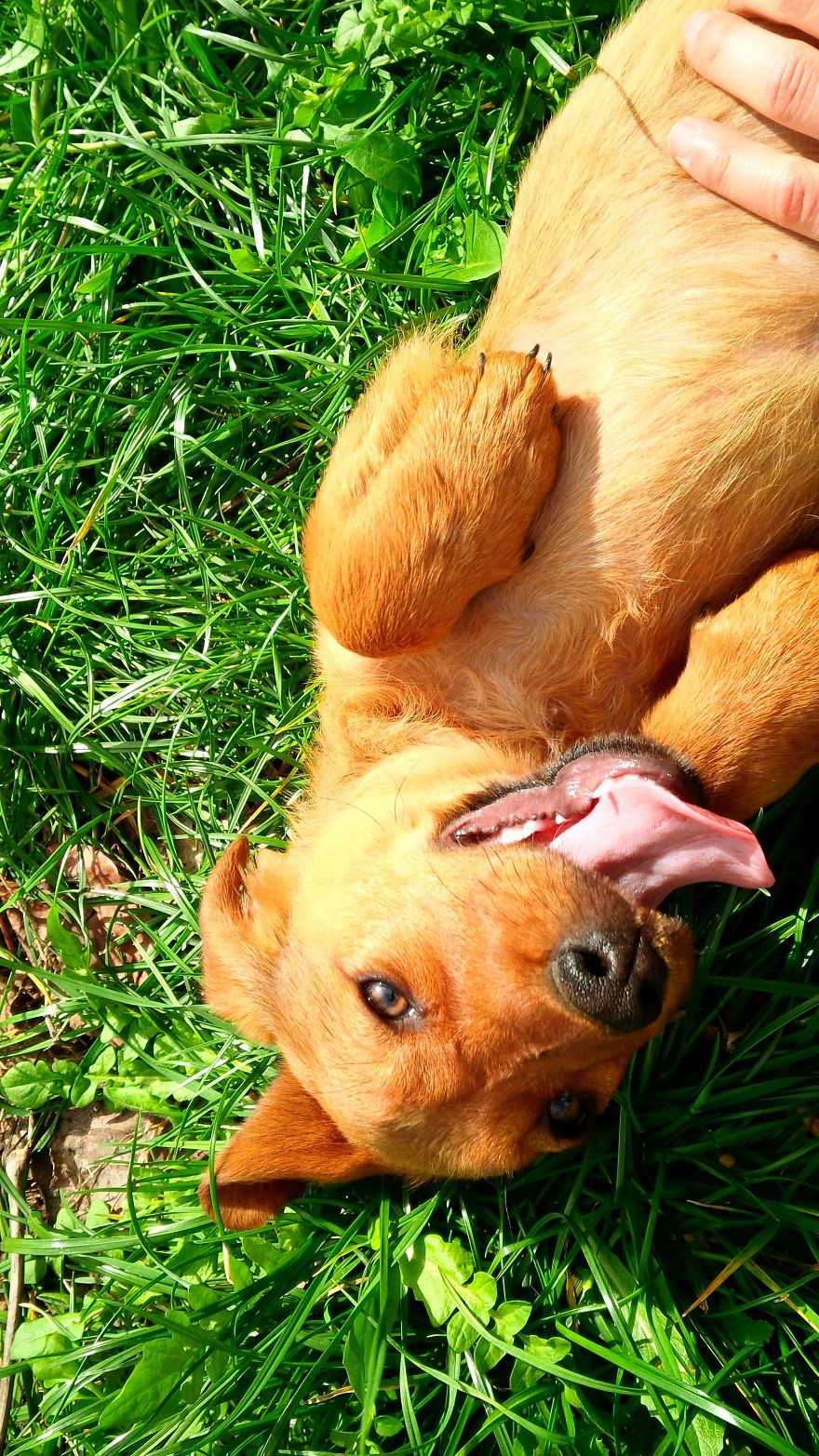 I Found & Rescued These Little Gems On This Day A Year Ago, And That's Been A Life Changer For The Three Of Us I Found & Rescued These Little Gems On This Day A Year Ago, And That's Been A Life Changer For The Three Of Us