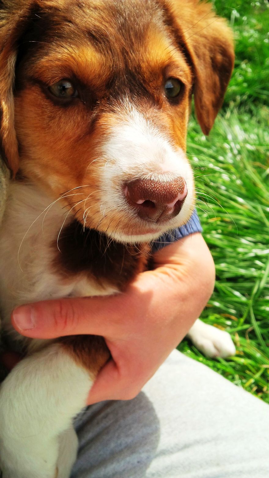 I Found & Rescued These Little Gems On This Day A Year Ago, And That's Been A Life Changer For The Three Of Us I Found & Rescued These Little Gems On This Day A Year Ago, And That's Been A Life Changer For The Three Of Us