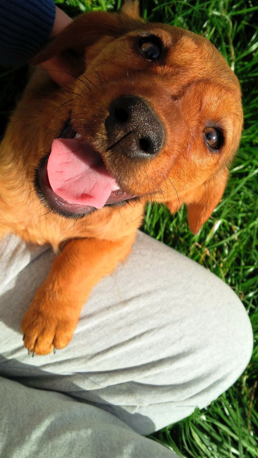 I Found & Rescued These Little Gems On This Day A Year Ago, And That's Been A Life Changer For The Three Of Us