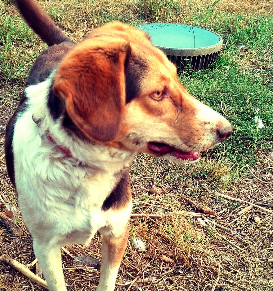 I Found & Rescued These Little Gems On This Day A Year Ago, And That's Been A Life Changer For The Three Of Us