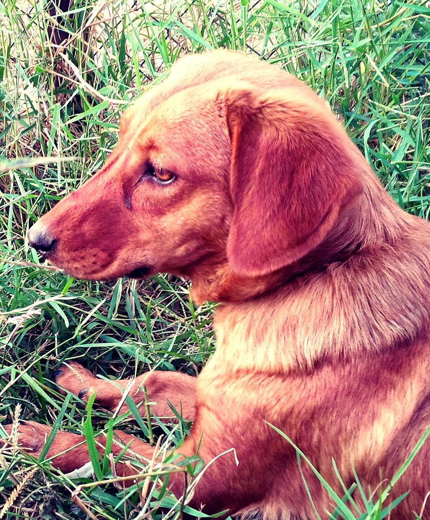 I Found & Rescued These Little Gems On This Day A Year Ago, And That's Been A Life Changer For The Three Of Us