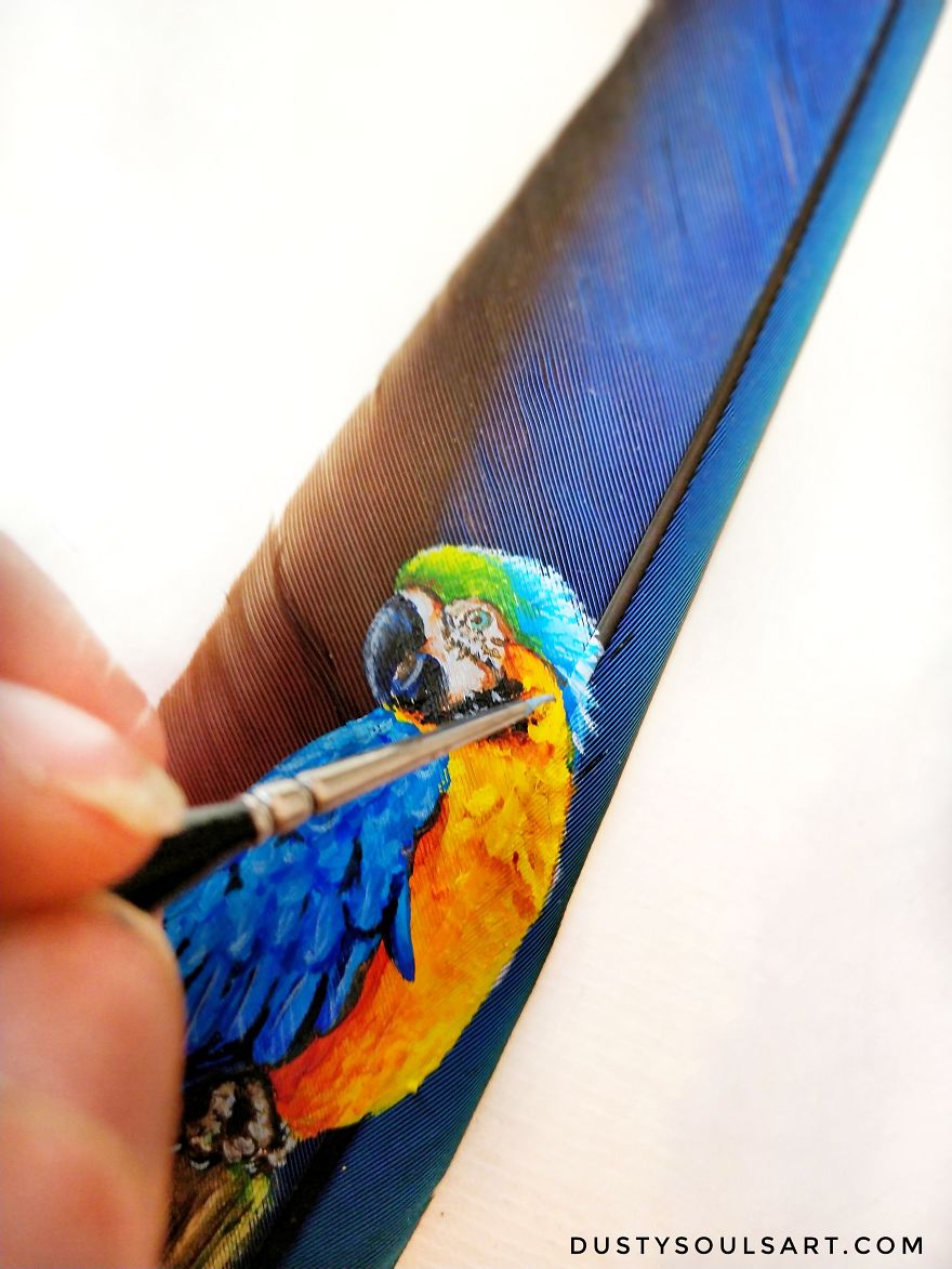 Macaw On Macaw