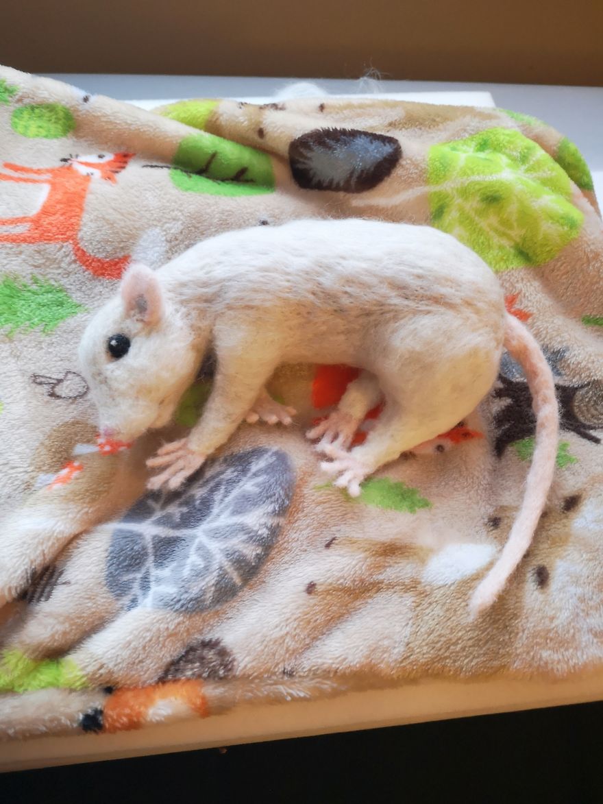 I Bring Wool To Life By Sculpting It Into My Favourite Animals