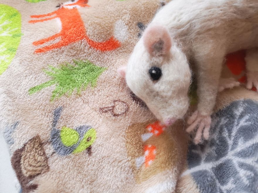 I Bring Wool To Life By Sculpting It Into My Favourite Animals