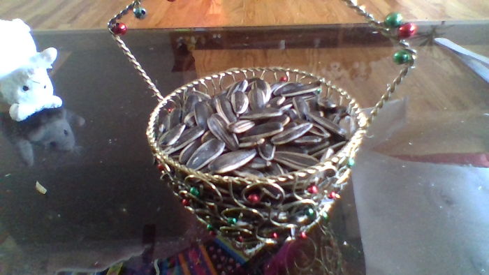 4 Things My Chinese Friend’s Little Sister Is Doing To Following The Steps Of Her Parents