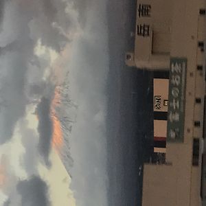 m-hayashi0728 avatar