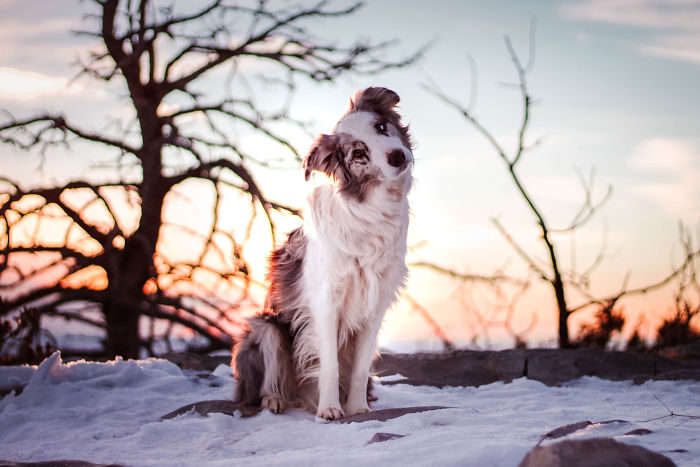 We Live In The Nm Desert, But Have A 10'000ft Mountain Right Behind Our House. We Spent A Lot Of Time There