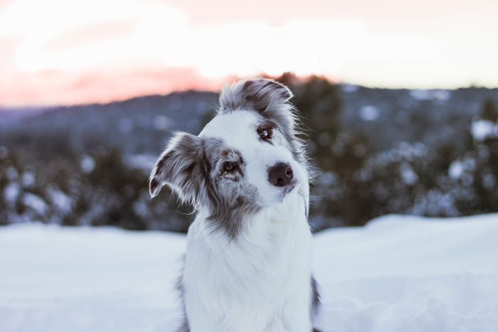 Yes? What Else Can I Do For You?