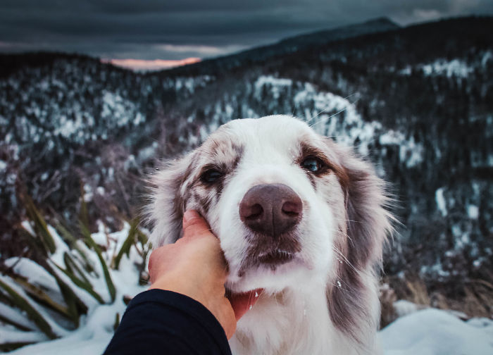 I Have Never Lived In A Place With Such Stunning Colors