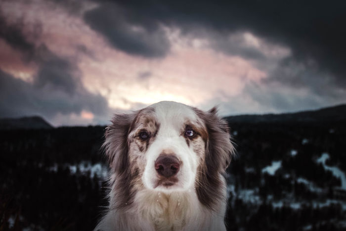 And Also Made To Have His Picture Taken