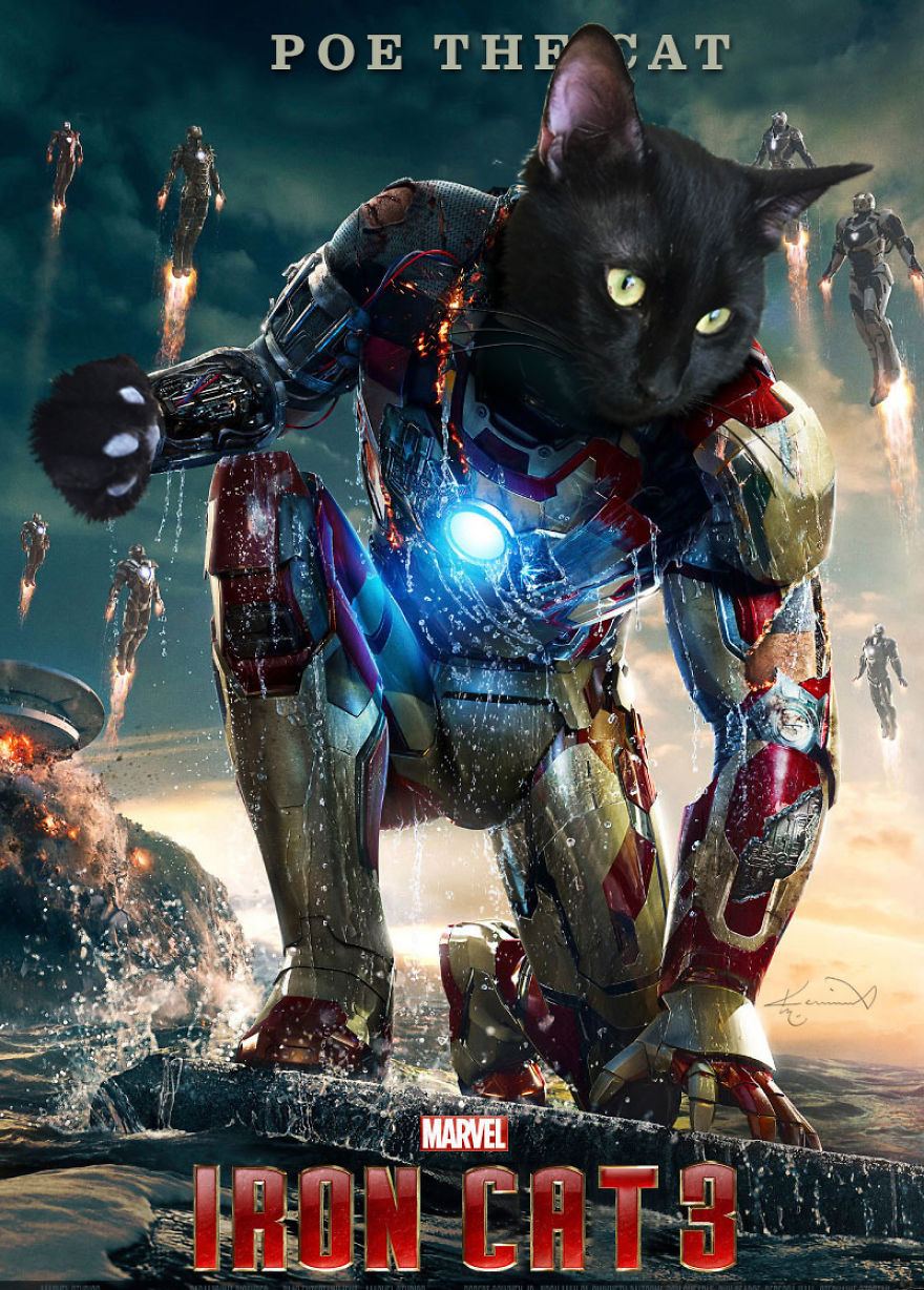 My Cat From Marvel
