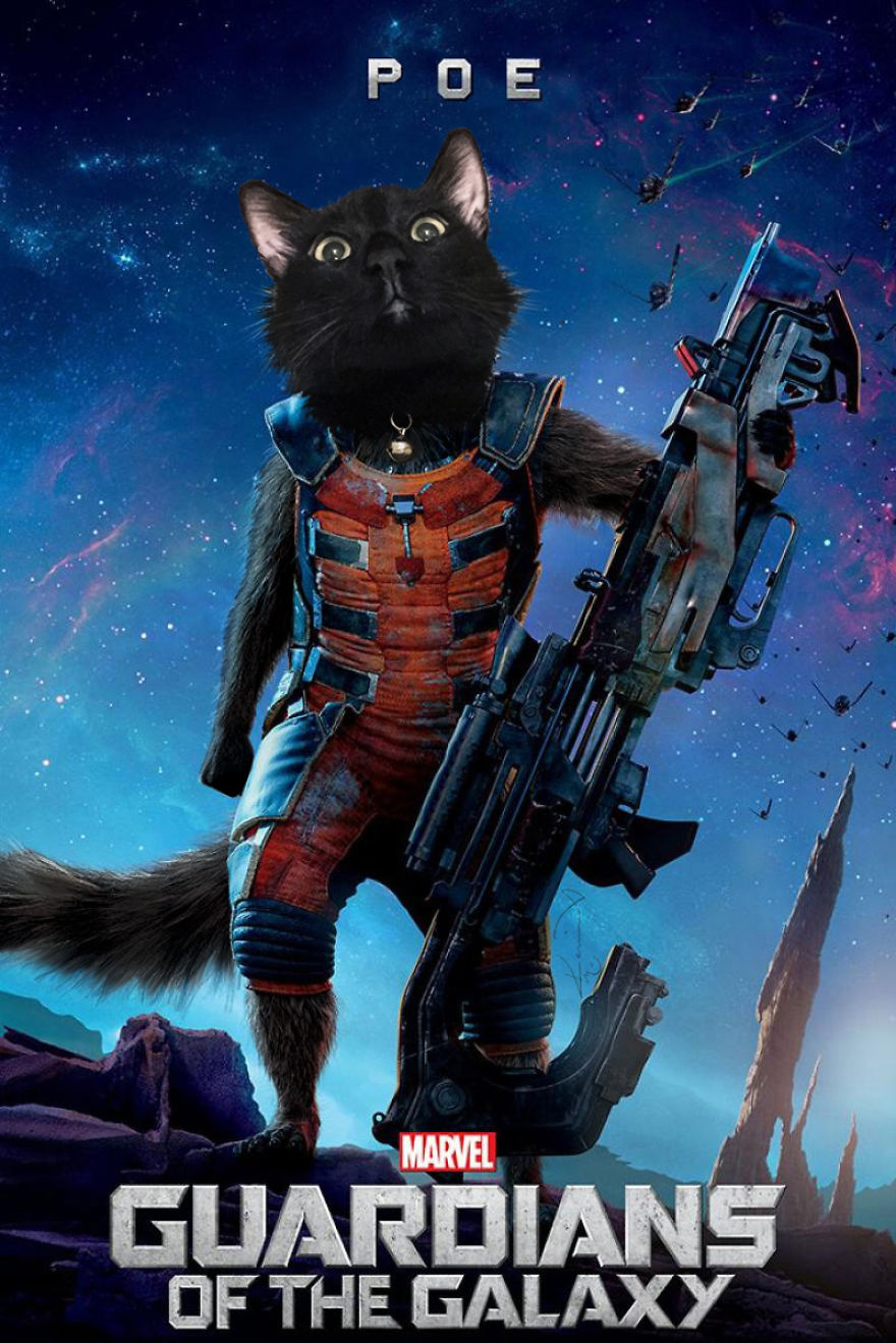 My Cat From Marvel