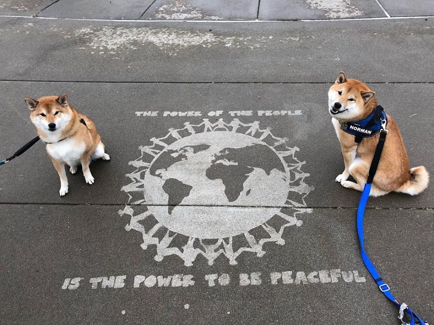 We Create Invisible Street Art That Only Appears When It Rains And You Can Do It Too We Create Invisible Street Art That Only Appears When It Rains And You Can Do It Too