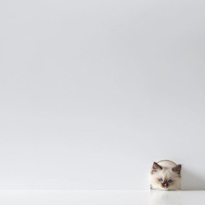 Thai Photographer Makes True Works Of Minimalist Arts With Everyday Objects