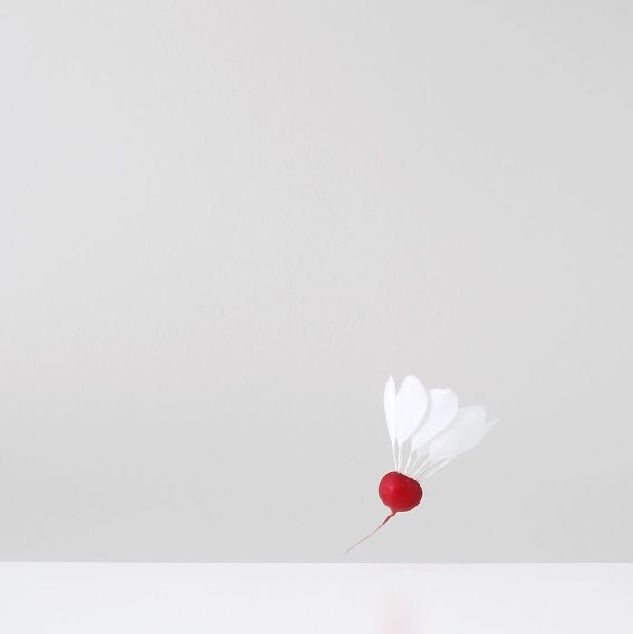 Thai Photographer Makes True Works Of Minimalist Arts With Everyday Objects
