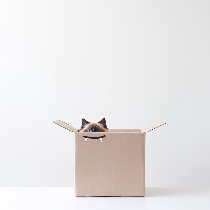 Thai Photographer Makes True Works Of Minimalist Arts With Everyday Objects