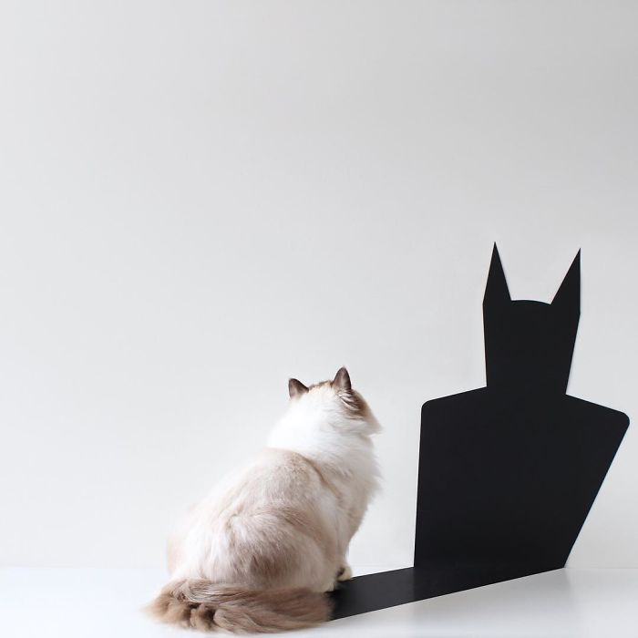 Thai Photographer Makes True Works Of Minimalist Arts With Everyday Objects