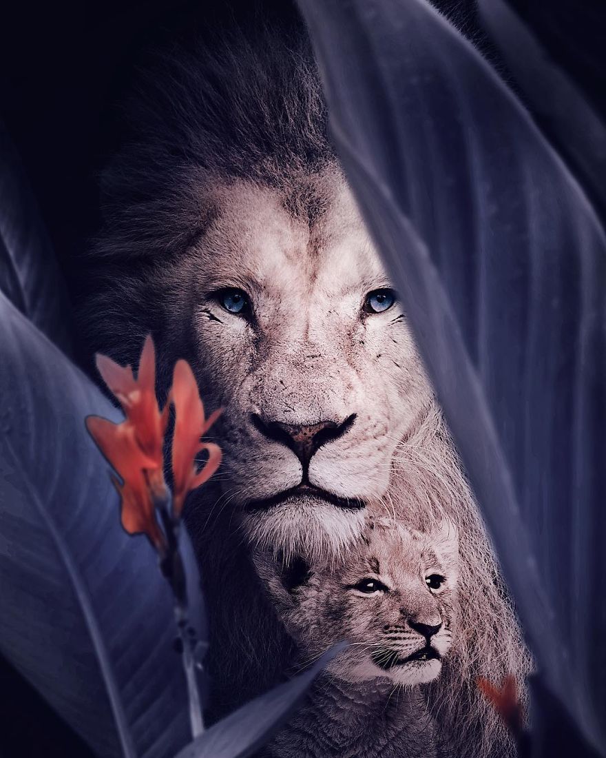 This Visual Artist Uses His Magical Skills To Raise Awareness For Engangered Species