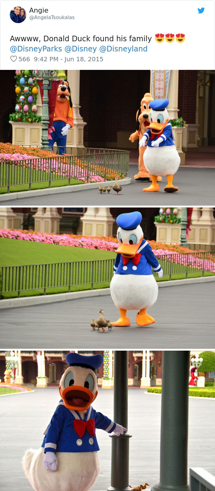 Amazing-Disney-Employees