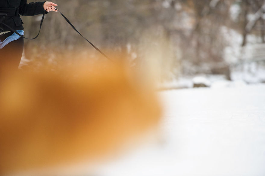 A Fox Photobombed Our Photoshoot