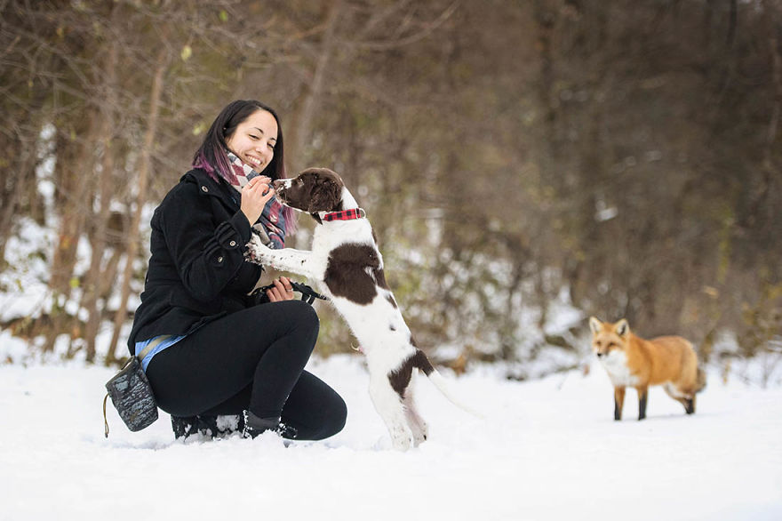 A Fox Photobombed Our Photoshoot A Fox Photobombed Our Photoshoot
