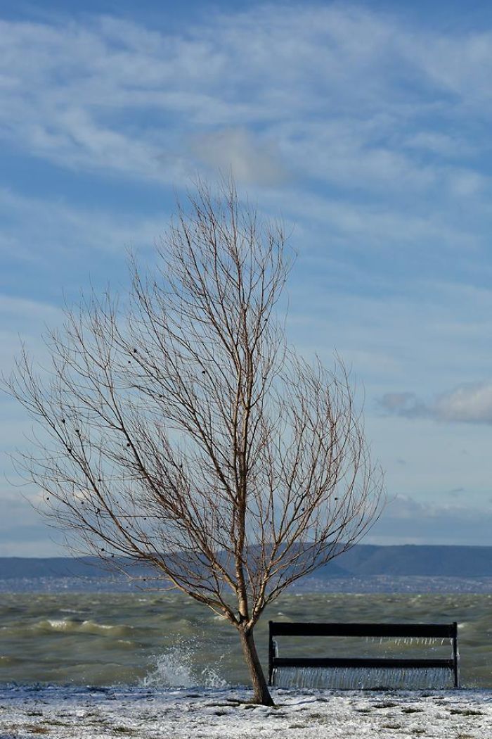 Freezing Temperatures And Strong Winds Turned Balaton Lake Into A Winter Wonderland