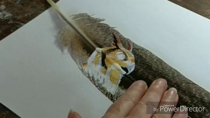 Painted Feather: Eagle Owl On Peafowl