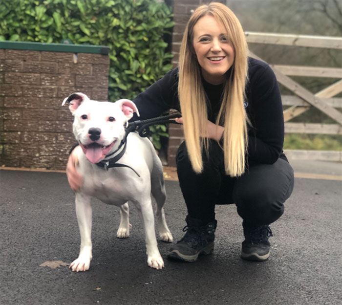 After The Video Of A Dog Who Didn't Realize He Was Being Abandoned Went Viral, Snoop Dogg Offers To Give Him A Home After The Video Of A Dog Who Didn't Realize He Was Being Abandoned Went Viral, Snoop Dogg Offers To Give Him A Home