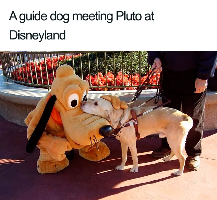 Amazing-Disney-Employees