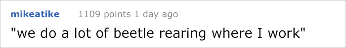 Turns Out Beetles In Japan Are Such A Big Deal That People Keep Them As Pets And Feed Them Jelly Cups Turns Out Beetles In Japan Are Such A Big Deal That People Keep Them As Pets And Feed Them Jelly Cups
