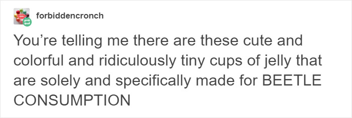 Turns Out Beetles In Japan Are Such A Big Deal That People Keep Them As Pets And Feed Them Jelly Cups Turns Out Beetles In Japan Are Such A Big Deal That People Keep Them As Pets And Feed Them Jelly Cups