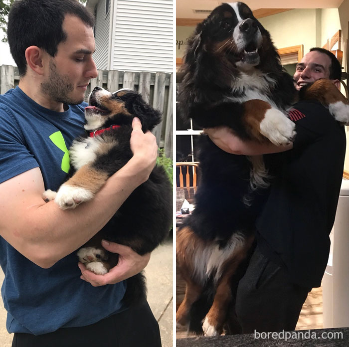 Uh. Someone Got Small And That’s Not Me