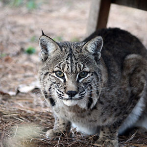 erik_kremsreiter avatar