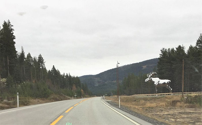 Norway Builds World's Tallest Moose Statue, Canada Strikes Back